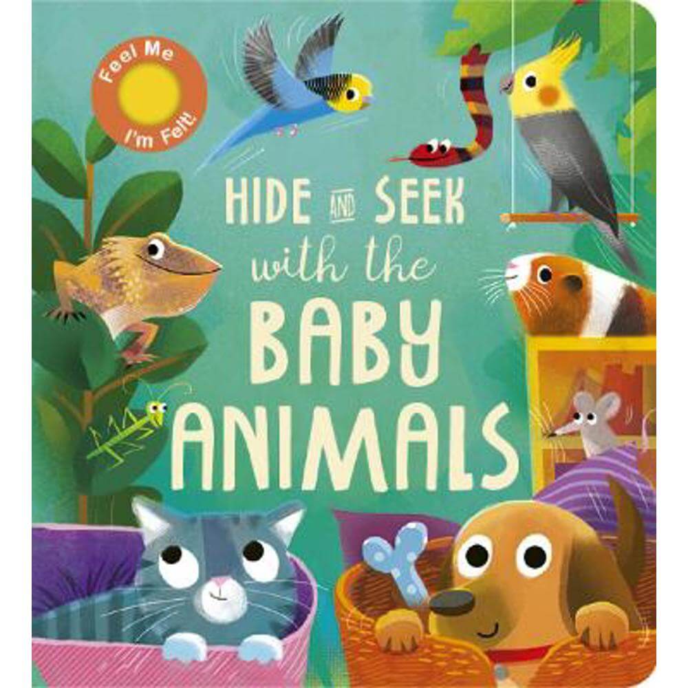 Hide and Seek with the Baby Animals - Molly Littleboy